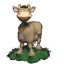 cow_mooing_md_clr[1]